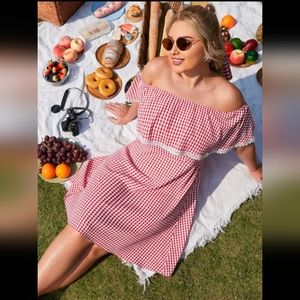 Plus Gingham Lace Trimmed A-line dress